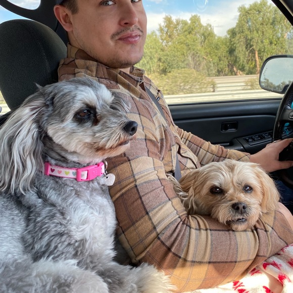 Meet your Posher, Rob - Picture 3 of 4